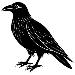 crow isolated on white, crow vector illustration, petvector art, crow silhouette, animal vector icon, crow line art, eps