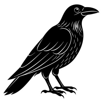 recommend clip art: crow isolated on white, crow vector illustration, petvector art, crow silhouette, animal vector icon, crow line art, eps