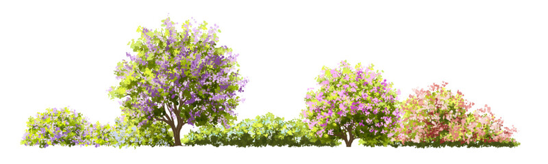 Obraz premium Vector watercolor blooming flower tree or forest side view isolated on white background for landscape and architecture drawing,elements for environment or and garden,green tree for garden section 