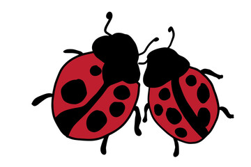 illustration of cute pair of ladybugs