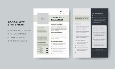 New Capability Statement design for Company documents 