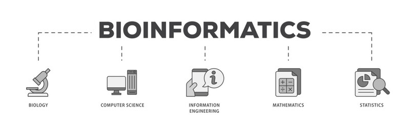 Bioinformatics icon infographic illustration concept with icon of biology, computer science, information engineering, mathematics and statistics icon live stroke and easy to edit 