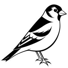 Goldfinch isolated on white, goldfinch vector illustration, bird vector art, goldfinch silhouette, animal vector icon, goldfinch line art, eps