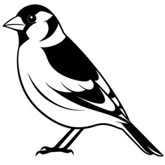 Fototapeta premium Goldfinch isolated on white, goldfinch vector illustration, bird vector art, goldfinch silhouette, animal vector icon, goldfinch line art, eps