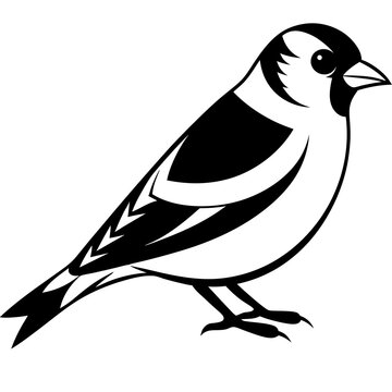 recommend clip art: Goldfinch isolated on white, goldfinch vector illustration, bird vector art, goldfinch silhouette, animal vector icon, goldfinch line art, eps