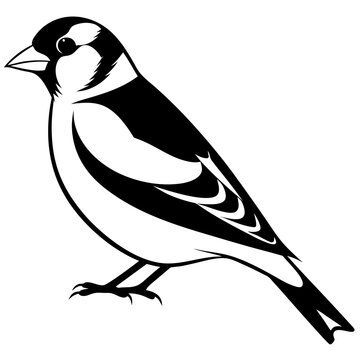 recommend clip art: Goldfinch isolated on white, goldfinch vector illustration, bird vector art, goldfinch silhouette, animal vector icon, goldfinch line art, eps