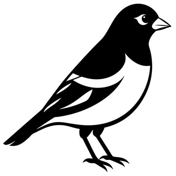 recommend clip art: Goldfinch isolated on white, goldfinch vector illustration, bird vector art, goldfinch silhouette, animal vector icon, goldfinch line art, eps