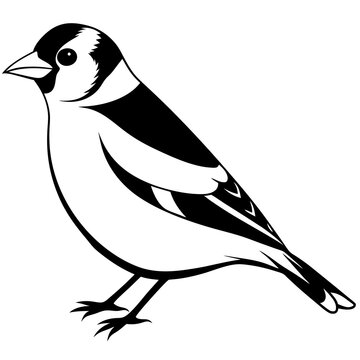 recommend clip art: Goldfinch isolated on white, goldfinch vector illustration, bird vector art, goldfinch silhouette, animal vector icon, goldfinch line art, eps