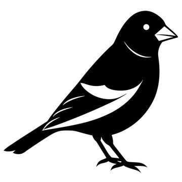 recommend clip art: Goldfinch isolated on white, goldfinch vector illustration, bird vector art, goldfinch silhouette, animal vector icon, goldfinch line art, eps