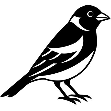 recommend clip art: Goldfinch isolated on white, goldfinch vector illustration, bird vector art, goldfinch silhouette, animal vector icon, goldfinch line art, eps