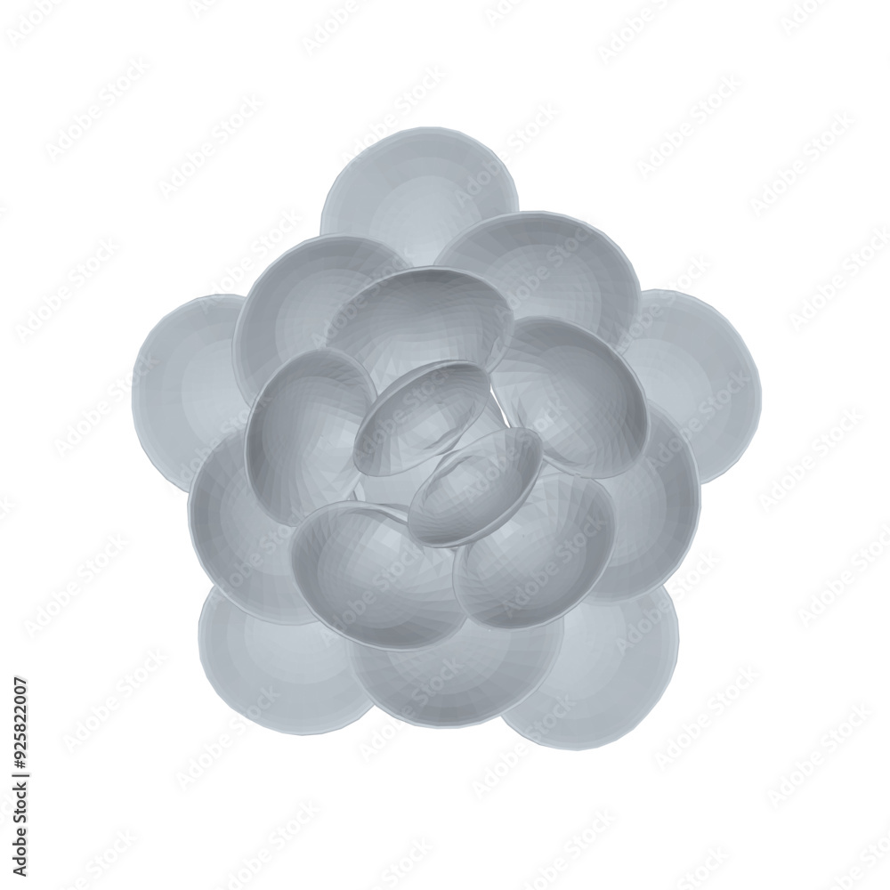Poster polygonal model of seashells stacked on top of each other in a circle isolated on white background. 