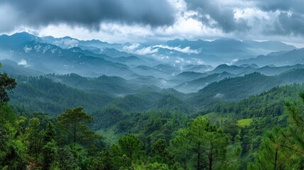 Fototapeta premium Layered mountain forest landscape with cloudy sky.
