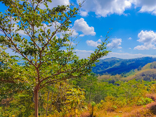 Amazing natural views during the day