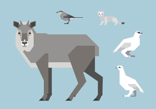 日本の高山の野生動物イラストセット（カモシカ、ライチョウ、ホシガラス、オコジョ）