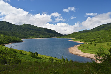 夏の野反湖の風景