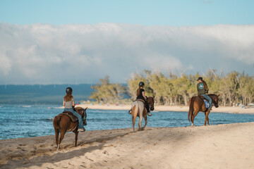 Hawaii Polo Oceanfront Trail Rides, Mokuleia, Honolulu, Oahu Hawaii.  Horseback riding on the...