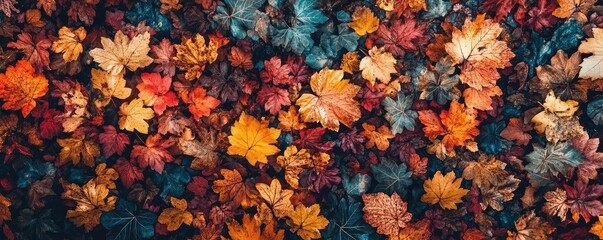 Obraz premium A vibrant collection of autumn leaves creating a stunning tapestry of colors and textures on the forest floor.