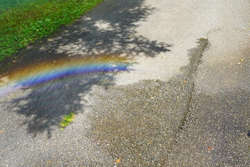 夏の晴れた日に濡れた地面にうっすらと映る虹