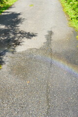 夏の晴れた日に濡れた地面にうっすらと映る虹