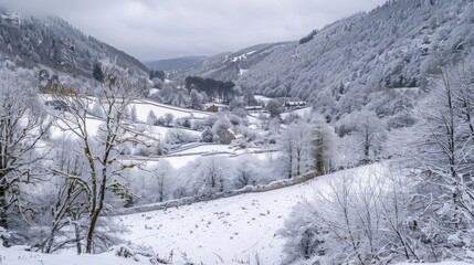 Snowy Valley Landscape