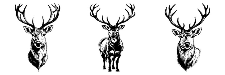 Fototapeta premium Black reindeer on a white background. Animals line art. Logo design, for use in graphics, pattern for t-shirts.