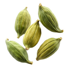 Falling green cardamom isolated on transparent background