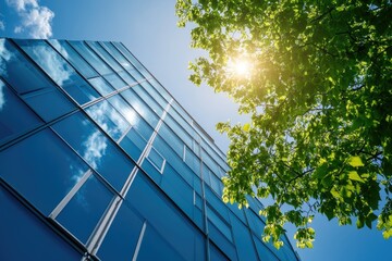 Commercial Energy Efficiency. Eco-Friendly Building Design with Green Trees in Sunny City