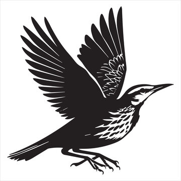 recommend clip art: Western meadowlark silhouette, Meadowlark Bird Clipart, Western Meadowlark in mid flight Illustration
