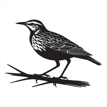 recommend clip art: Western meadowlark silhouette, Meadowlark Bird Clipart,  Western Meadowlark standing on branch Illustration