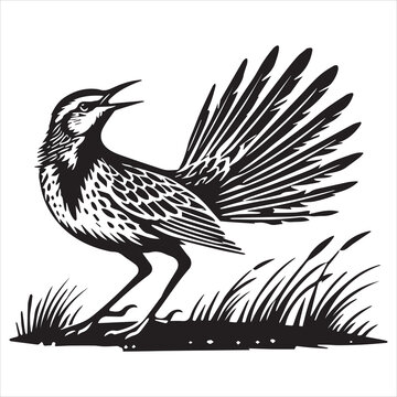 recommend clip art: Western meadowlark silhouette, Meadowlark Bird Clipart, Western meadowlark tail fanned out Illustration