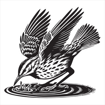 recommend clip art: Western meadowlark silhouette, Meadowlark Bird Clipart, Western meadowlark wings extended downward Illustration