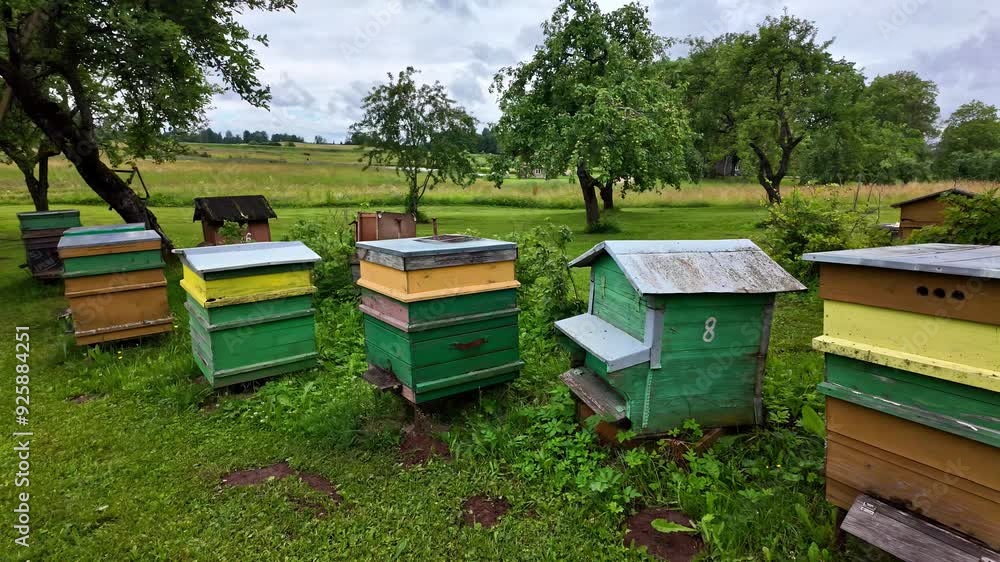 Poster profile view of multiple wooden beehives on green field during cloudy day. multicolored beehives.