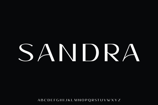 Elegant beautiful sans serif alphabet display font vector illustration