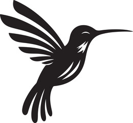 Fototapeta premium black and white hummingbird