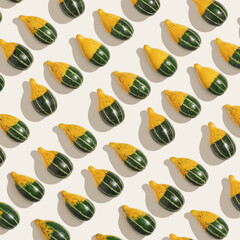 Decorative ornamental pumpkins on light beige, geometric linear pattern, sunlight shadow. Creative still life, autumn fall season holiday, vivid color. Top view yellow green striped Mini squashes