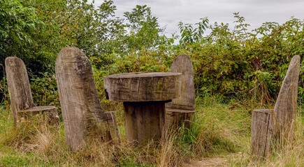 
Rest area carved out of tree trunks in the forest