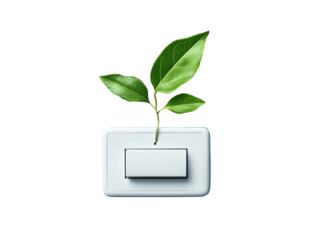 a light switch with a leaf coming out of it