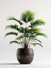 Obraz premium Tree leaves in a pot, plain color background