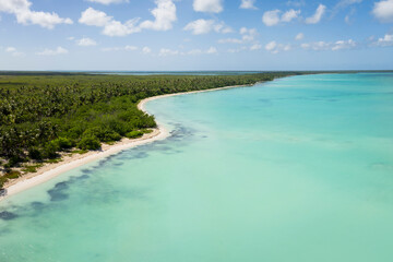 Aerial view of Saona Island in Dominican Republic. Caribbean Sea with clear blue water sandy beach and green palms. Tropical beach. 