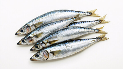 Fresh Mackerel