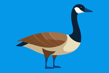 Goose vector art and illustration
