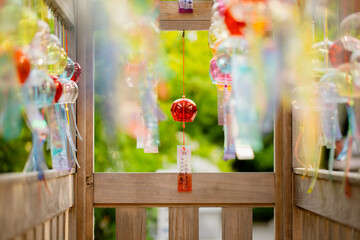 Wind chimes are a symbol of Japanese summer. The Wind Chime Festival is held every summer at Fuji...