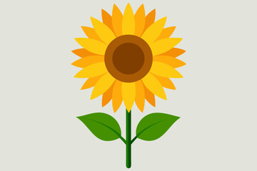 sunflower vector art and  illustration