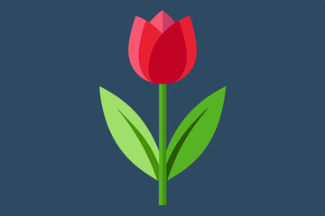  Tulip flower vector art and illustration