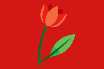  Tulip flower vector art and illustration