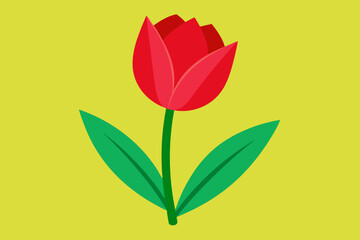 Tulip flower vector art and illustration