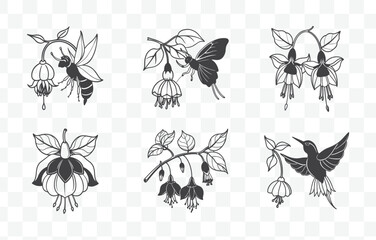 Print Fuchsia Flower Line Art Vector Set Elegant and Detailed Floral Illustration Collection