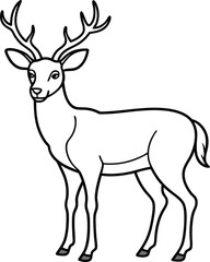 Obraz premium An outline illustration of a deer, standing gracefully with antlers visible, drawn with elegant and slender lines on a white background.