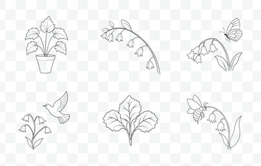 Print Coral Bells Flower Botanical Line Art Vector Collection with Detailed Illustrations