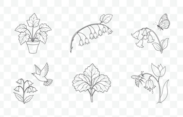 Print Coral Bells Flower Botanical Line Art Vector Collection with Detailed Illustrations